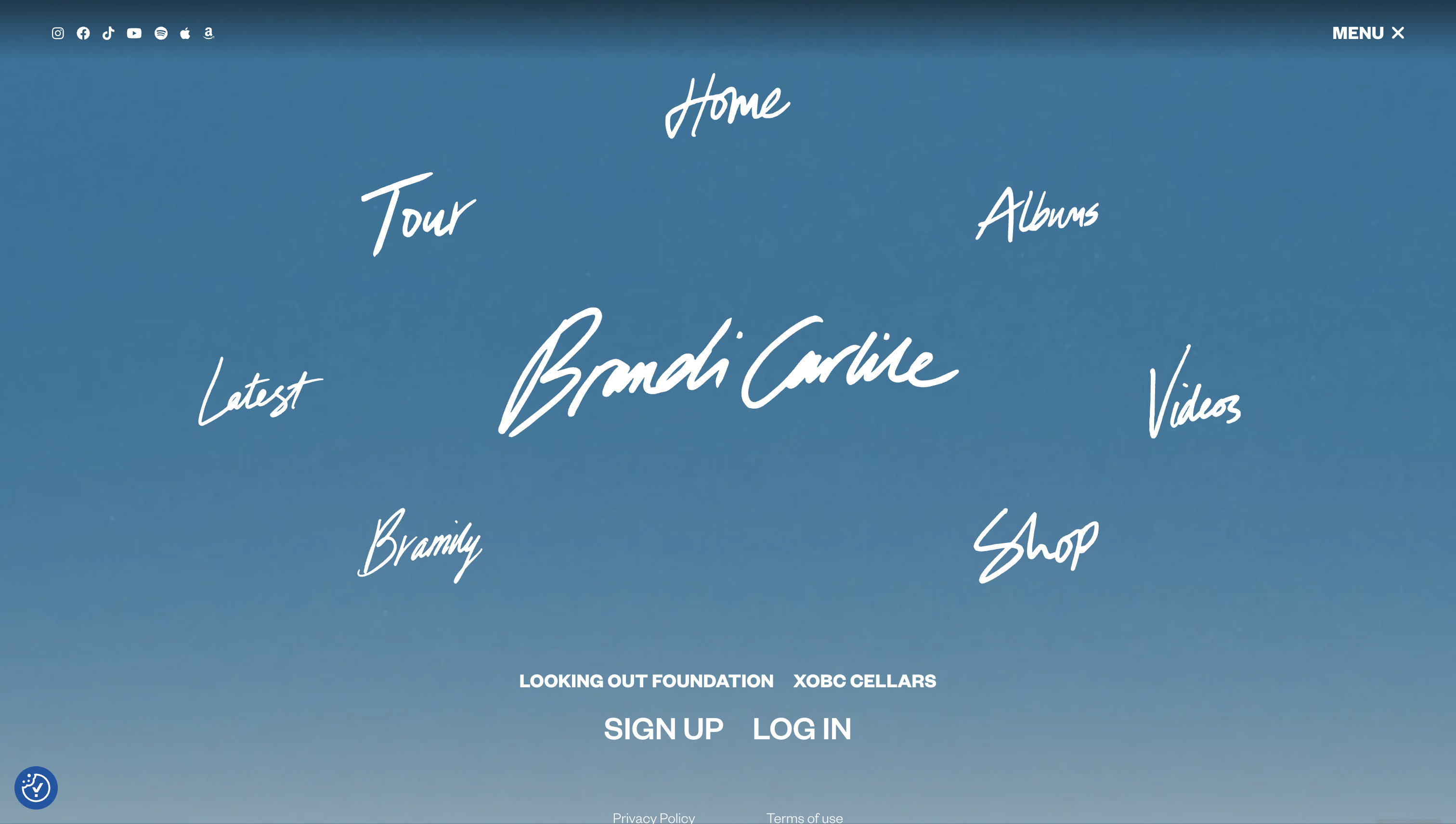 Brandi Carlile Website