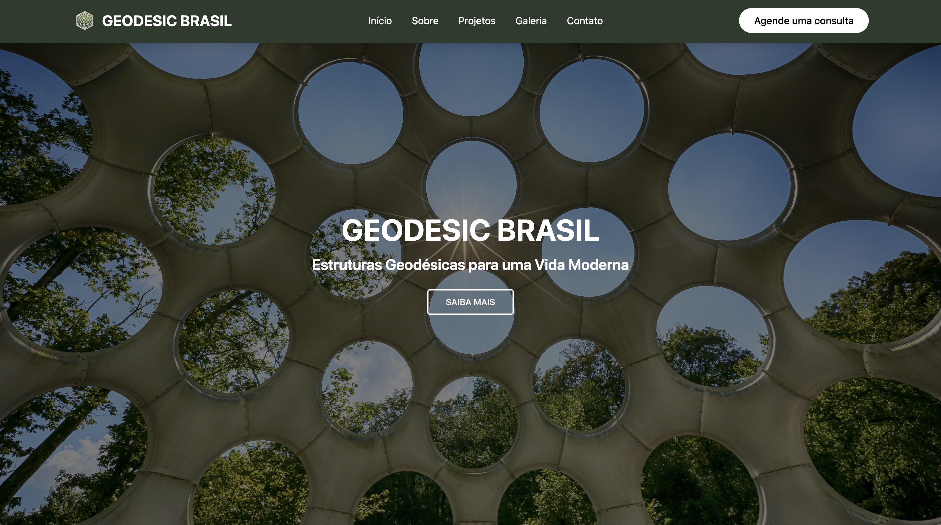 Geodesic Brasil Website
